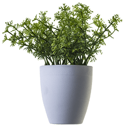pot